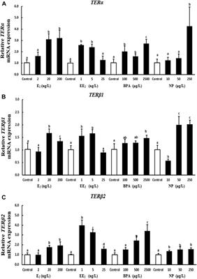 Endocrine disruptors affect the expression of estrogen receptor genes and proteins in the white cloud mountain minnow Tanichthys albonubes (Teleostei: Cyprinidae)